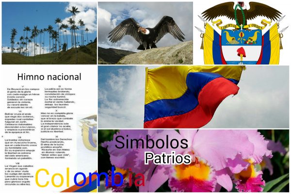 Resultado de imagen para simbolos patrios de colombia