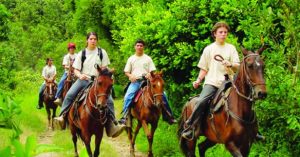 panaca-caballos