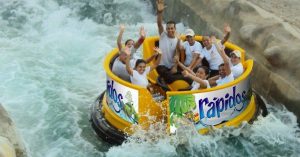rapidos-parque-del-cafe