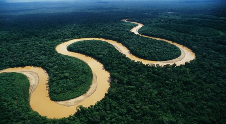 region amazonica