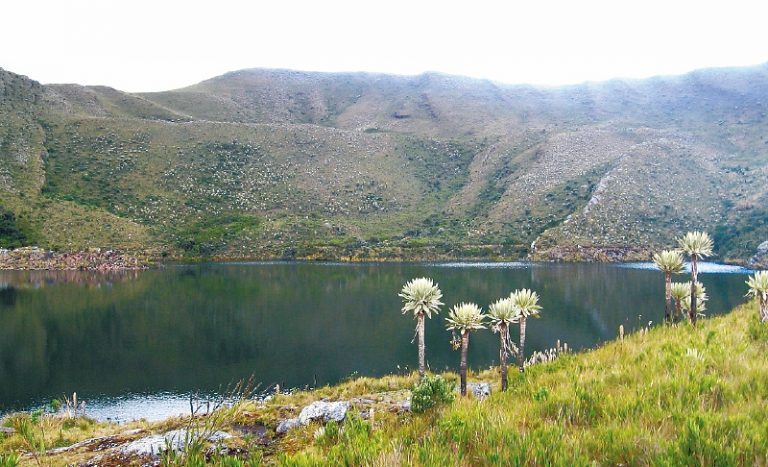 cuantos paramos hay en colombia