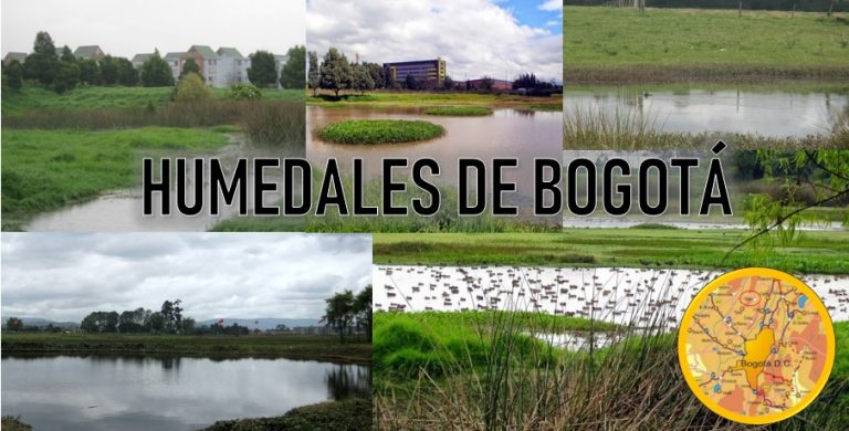humedales de bogota