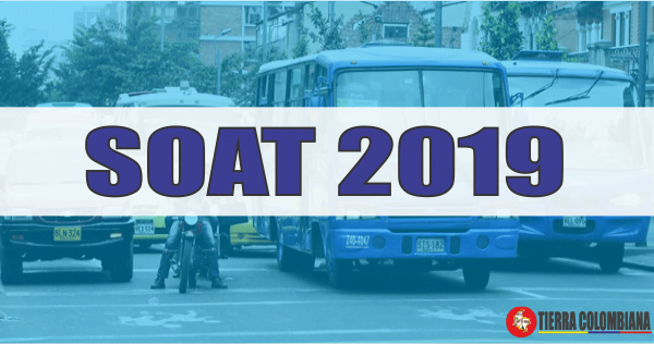 SOAT 2019