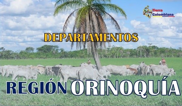 region orinoquia