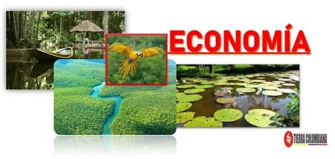 actividades economicas de la region amazonica