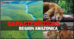 Caracteristicas de la amazonia de colombia