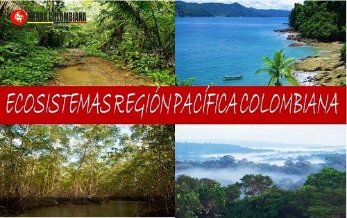 biomas de la region pacifica