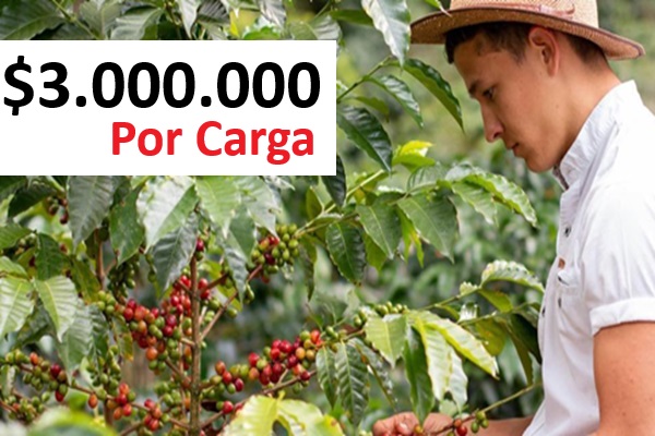 cafe supera los 3 millones